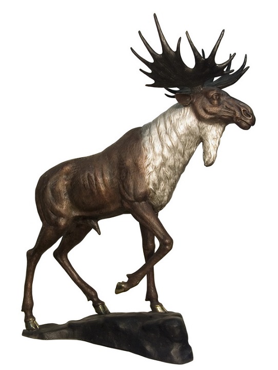 Baying Moose Baying Moose